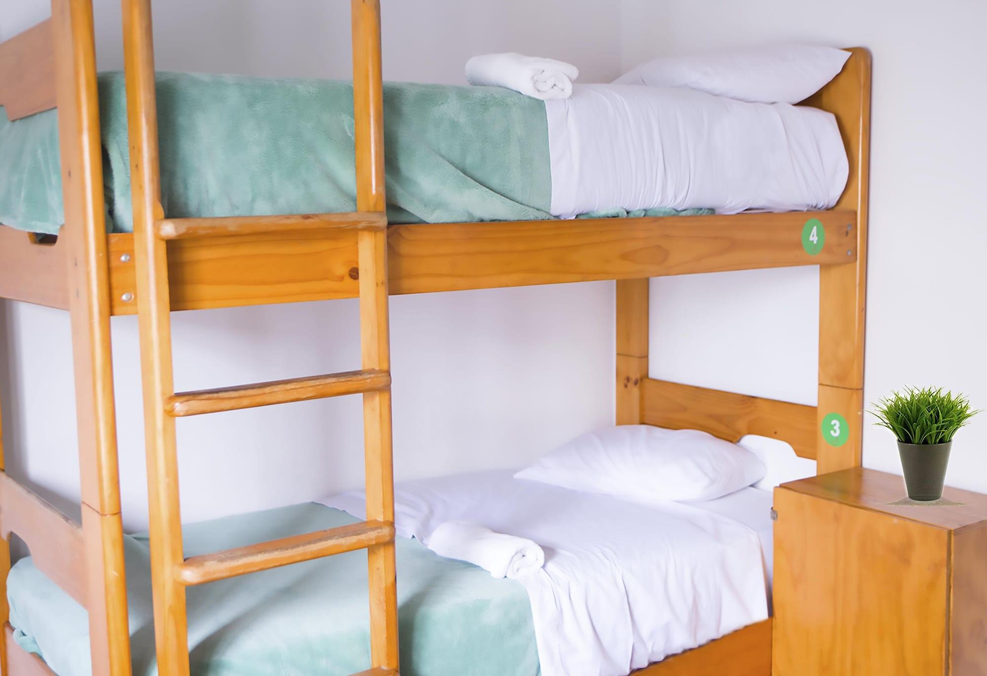 Red Llama Eco Hostel Lima Zewnętrze zdjęcie