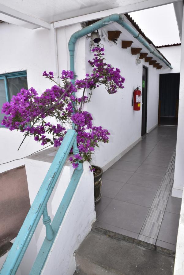 Red Llama Eco Hostel Lima Zewnętrze zdjęcie